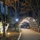 청목미술관 | 소곤소곤 일상 #15(12월 22일~12월 28일)