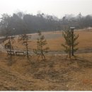 애견가족 이미지