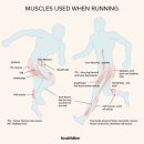 웨이트랩 삼전역점 이미지