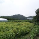 어모문화3길 이미지