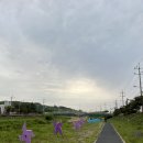 춤추는왕만두 온양온천점 이미지