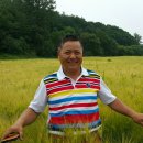 여주-0853 이미지