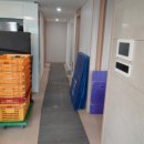 월드포장 이미지