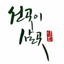 돌담병원 이미지