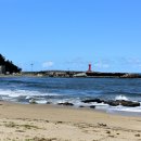 양양면옥 이미지