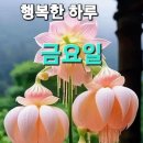 7월19일 비피해 없으시고 오늘도 화이팅! 뉴스입니다 이미지