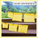 개인공감 | 청촌맛공감 인제 DMZ 2일차 반딧불이 손수건염색까지 프로그램 후기