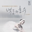 안성맞춤아트홀 대공연장 이미지