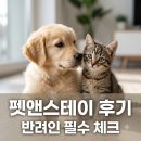 (주)마루펫 | "집안에 캣타워가?".. 선유도역 펫앤스테이 직접 가보니 의외의 결과