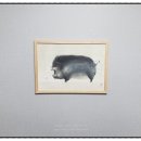 백년장수고려삼계탕 이미지