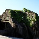 자라마을 이미지