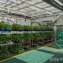 스마트팜공방