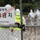 성바이