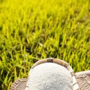 마지기로 이미지