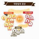 대장 이미지