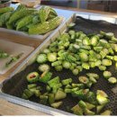 여주-0616 이미지