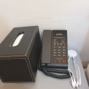 할리스(동해묵호점) 이미지