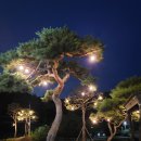 리스바베큐