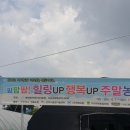 자인농장