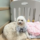 행복만줄개 이미지