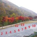 벌곡(논산) 이미지