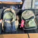 서커스보이밴드 백팩 CBB Trip Backpack City Garden, Green Lake 색감 후기