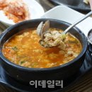 해콩이네 이미지