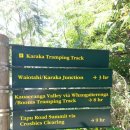 7월 6일 Karaka Track & Crosbies Hut 이미지