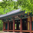 자인계정숲 티스토리