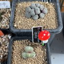 선산대로3-2 이미지