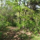 봉소2리 이미지