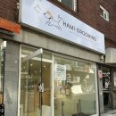 하미 | 강남애견미용 깔끔함과 디테일이 만족스러웠던 하미그루밍 방문 후기ㅎ