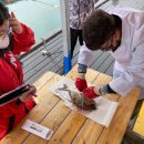 경상남도 수산안전기술원 이미지