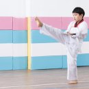 퇴계행복한태권도 네이버블로그