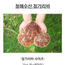청해수산 대왕 참가리비, 통영 홍가리비 구이바다 구워먹은 후기