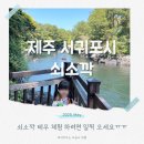 쇠소깍 공영 | 쇠소깍 제주 계곡과 바다가 만나는 신비로운 곳 테우 예약 정보