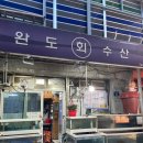 완도회수산 | 신진시장에서 만나는 신선한 해산물, 완도회수산 리뷰