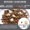 원벨리캣 이미지