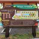 해미읍성역사캠핑장 이미지