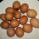 계란 굽기 이미지
