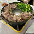 #맛집_대전 자운동 흑염소 토속마을 후기