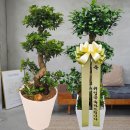 초록화원 이미지