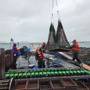 더조은수산 이미지