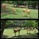 호텔네이버후드제주 이미지