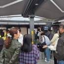 예쁜꽃그리기(보테니컬아트) | 경주 가볼만한곳 동궁원 라원 미디어아트 실내 데이트 추천 입장료 할인 솔직 후기