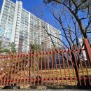 사월동 지석묘군 이미지