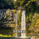 천지연무태장어천지연 | 제주 명소 천지연폭포 조용히 즐기기 좋은 국내 겨울 여행지