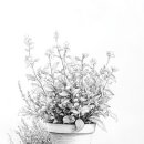 아이패드로 배우는 펜 드로잉 이미지