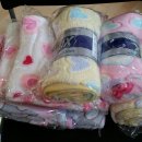 강아지 꼬야 이미지