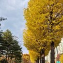 실내체육관화장실2층 | 엑디즈 <Beautiful Mind> 콘서트 피날레 막콘 후기 / 잠실실내체육관 2층 16구역 좌석 시야